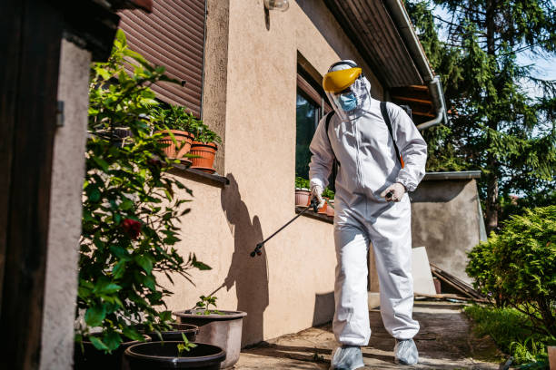 Best Best Pest Control Companies  in Ephrata, PA