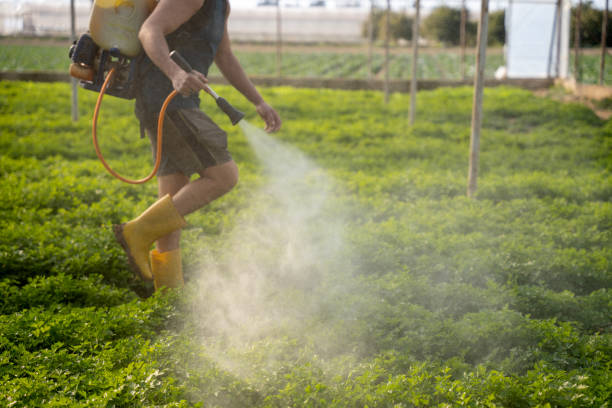 Best Exterminator Services  in Ephrata, PA