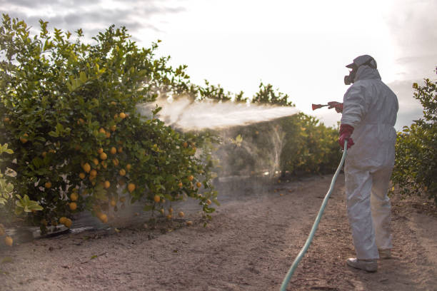 Best Pest Prevention Services  in Ephrata, PA